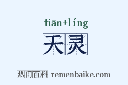 天灵是什么意思的图片